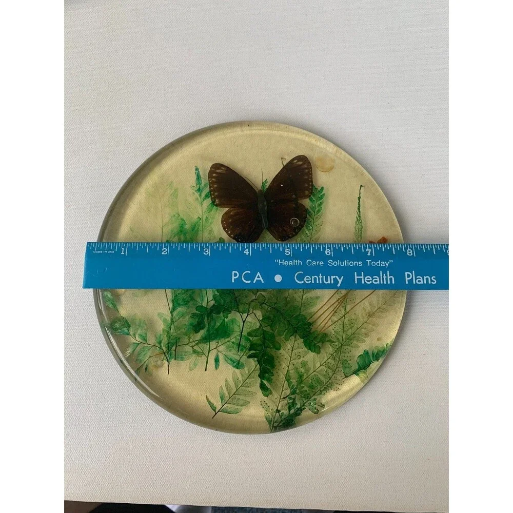 Vintage 60s Acrylic Lucite Butterfly Moth  Dried Flowers Fern Trivet Hot Pad MCM